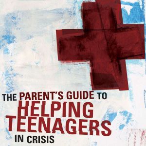 A Parents Guide to Helping Teenagers..., Rich Van Pelt