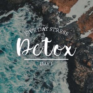 Five Day Stress Detox Series Day 1, Julie McQueen