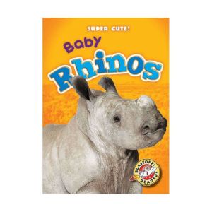 Baby Rhinos