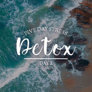 Five Day Stress Detox Series Day 2, Julie McQueen