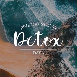 Five Day Stress Detox Series Day 3, Julie McQueen
