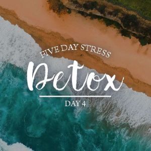 Five Day Stress Detox Series Day 4, Julie McQueen