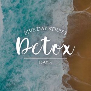 Five Day Stress Detox Series Day 5, Julie McQueen