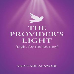 The Provider's Light: Light for the Journey