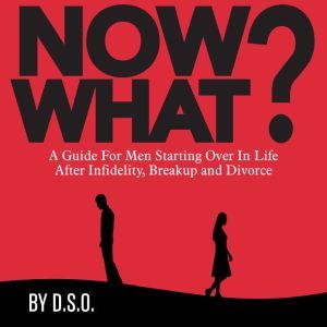 NOW WHAT? A Guide for Men Starting Ov..., DSO
