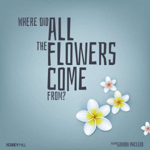 Where Did All The Flowers Come From?, Gordon MacLeod