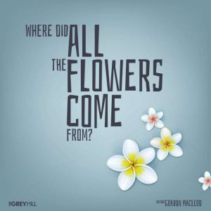 Where Did All The Flowers Come From?
