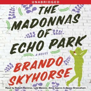 The Madonnas of Echo Park, Brando Skyhorse