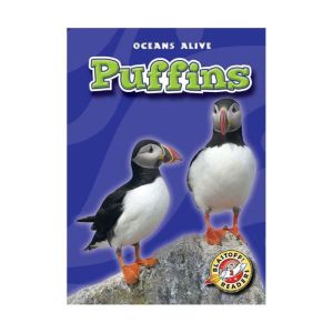 Puffins, Colleen Sexton