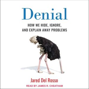 Denial, Jared Del Rosso