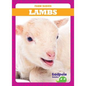 Lambs, Tim Mayerling