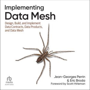 Implementing Data Mesh: Design, Build, and Implement Data Contracts, Data Products, and Data Mesh
