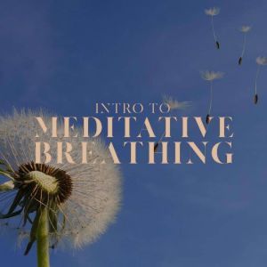 Intro to Meditative Breathing, Gina Vandermarliere