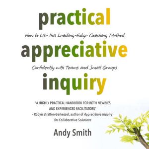 Practical Appreciative Inquiry
