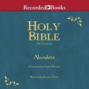 Holy Bible Numbers Volume 4, Various