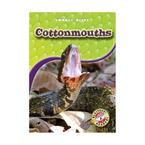 Cottonmouths, Colleen Sexton