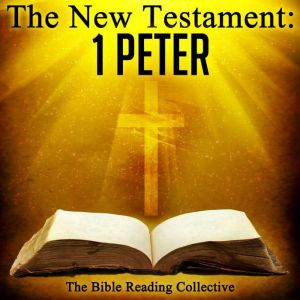 The New Testament 1 Peter, Multiple Authors