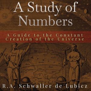 A Study of Numbers: A Guide to the Constant Creation of the Universe