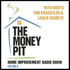 The Money Pit, Vol. 6, Tom Kraeutler Leslie Segrete