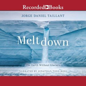 Meltdown, Jorge Daniel Taillant