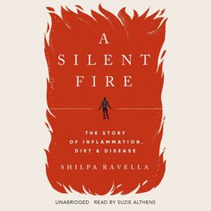 A Silent Fire, Shilpa Ravella
