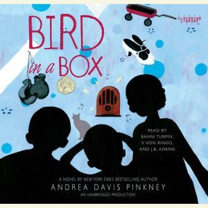 Bird in a Box, Andrea Davis Pinkney