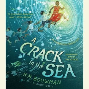 A Crack in the Sea, H. M. Bouwman