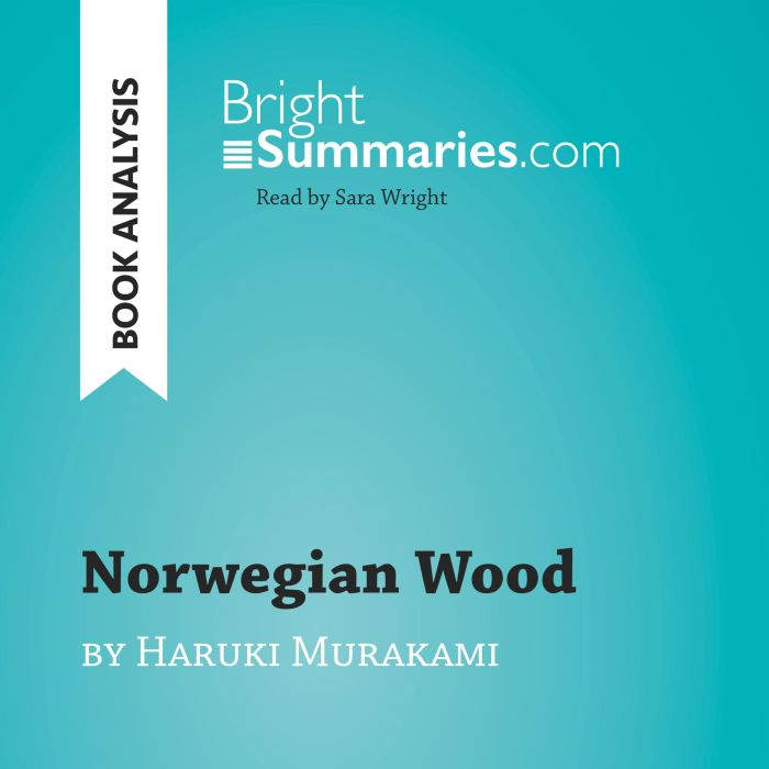 Norwegian Wood by Haruki Murakami Bo..., Bright Summaries