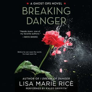 Breaking Danger, Lisa Marie Rice