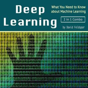 Deep Learning What You Need to Know ..., David Feldspar