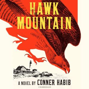 Hawk Mountain: A Novel