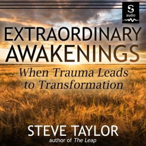 Extraordinary Awakenings, Steve Taylor