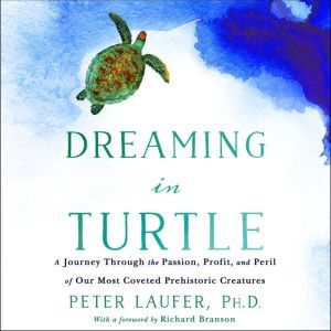 Dreaming in Turtle, PhD Laufer