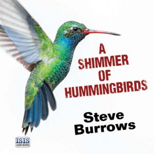 A Shimmer of Hummingbirds, Steve Burrows