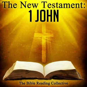 The New Testament 1 John, Multiple Authors