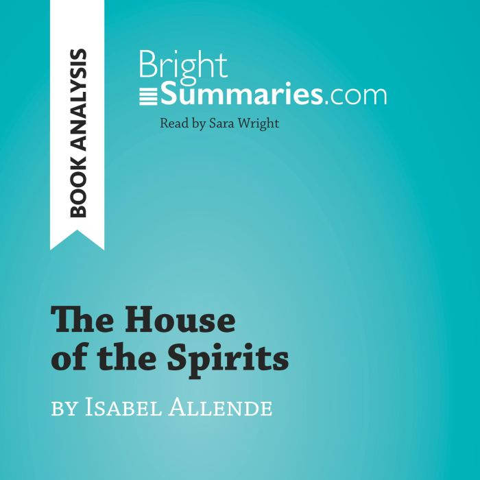 The House of the Spirits by Isabel Al..., Bright Summaries