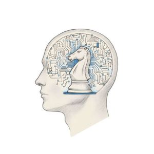 Diary of an IT Madman: A Story of Systems, Start-ups, and Surviving the Digital Revolution