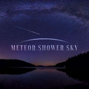 Meteor Shower Sky, Angie Caneva