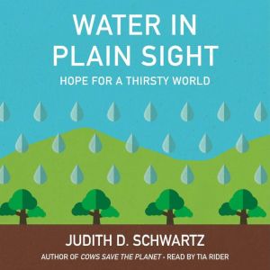 Water in Plain Sight, Judith D. Schwartz