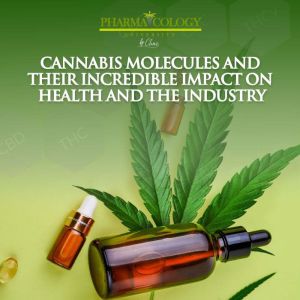 Cannabis molecules and their incredib..., Pharmacology University