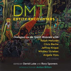 DMT Entity Encounters, David Luke