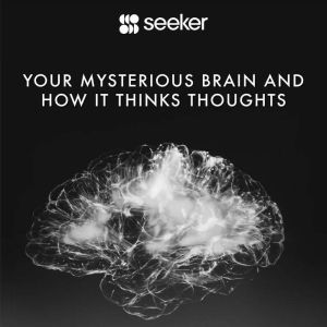 Your Mysterious Brain and How It Thin..., Seeker