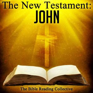 The New Testament John, Multiple Authors