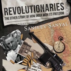 Revolutionaries, Sanjeev Sanyal