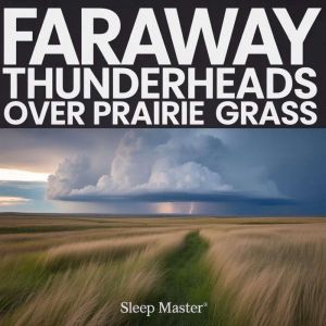 Faraway Thunderheads Over Prairie Gra..., Sleep Master