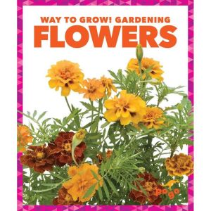 Flowers, Rebecca Pettiford