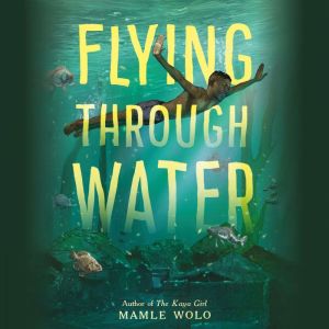 Flying Through Water, Mamle Wolo