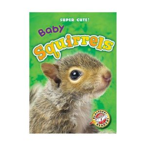 Baby Squirrels