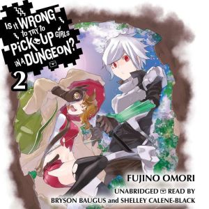 Is It Wrong to Try to Pick Up Girls i..., Fujino Omori