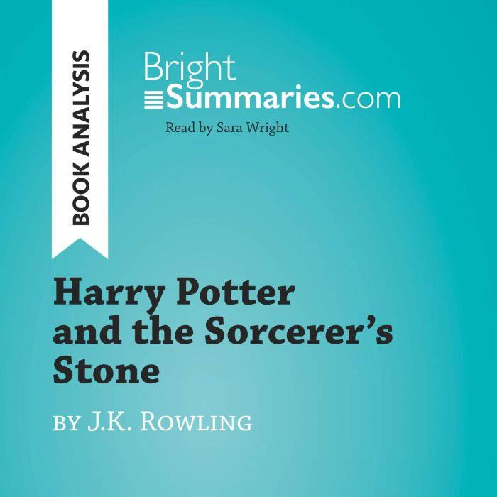 Harry Potter and the Sorcerers Stone..., Bright Summaries